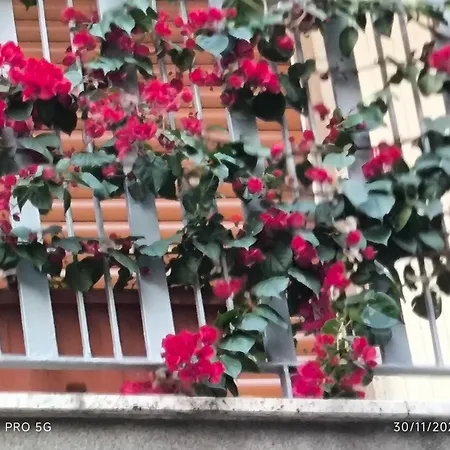 Antico Risveglio Διαμέρισμα