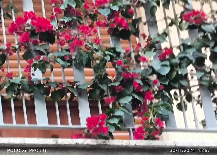 Antico Risveglio Apartament